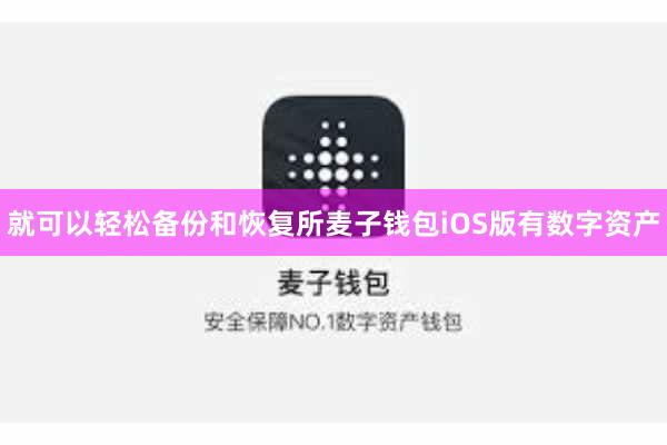 就可以轻松备份和恢复所麦子钱包iOS版有数字资产