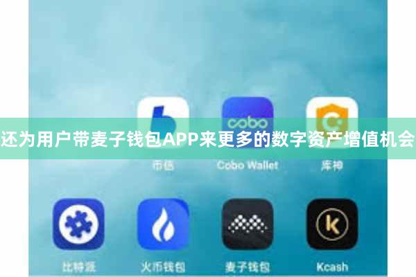 还为用户带麦子钱包APP来更多的数字资产增值机会