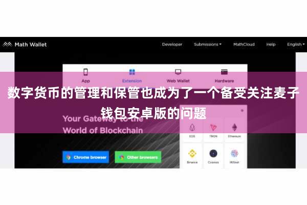 数字货币的管理和保管也成为了一个备受关注麦子钱包安卓版的问题