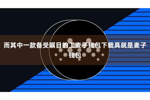而其中一款备受瞩目的工麦子钱包下载具就是麦子钱包