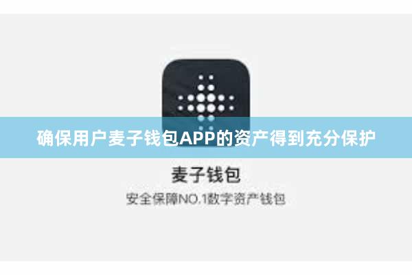 确保用户麦子钱包APP的资产得到充分保护