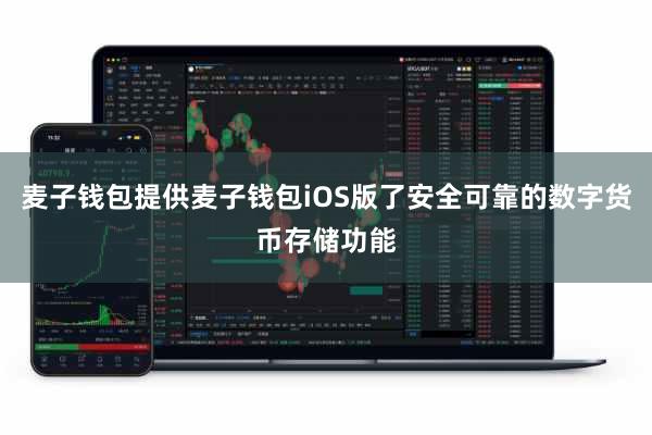 麦子钱包提供麦子钱包iOS版了安全可靠的数字货币存储功能