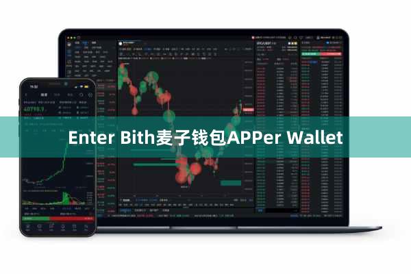 Enter Bith麦子钱包APPer Wallet