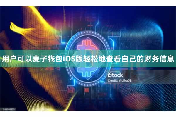 用户可以麦子钱包iOS版轻松地查看自己的财务信息