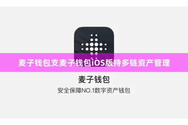 麦子钱包支麦子钱包iOS版持多链资产管理