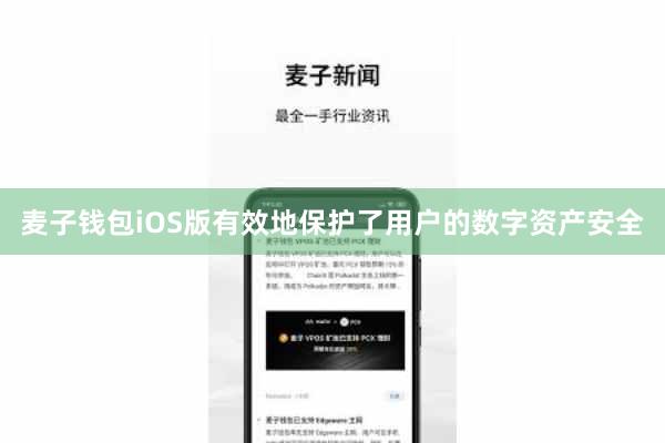 麦子钱包iOS版有效地保护了用户的数字资产安全