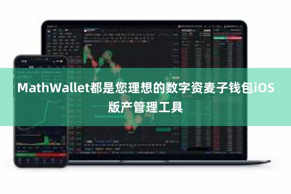 MathWallet都是您理想的数字资麦子钱包iOS版产管理工具