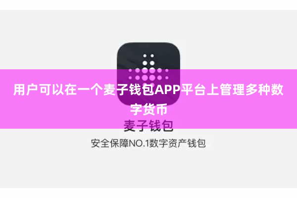 用户可以在一个麦子钱包APP平台上管理多种数字货币