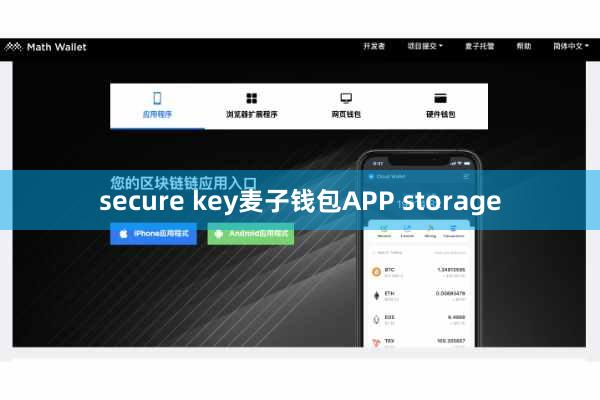 secure key麦子钱包APP storage