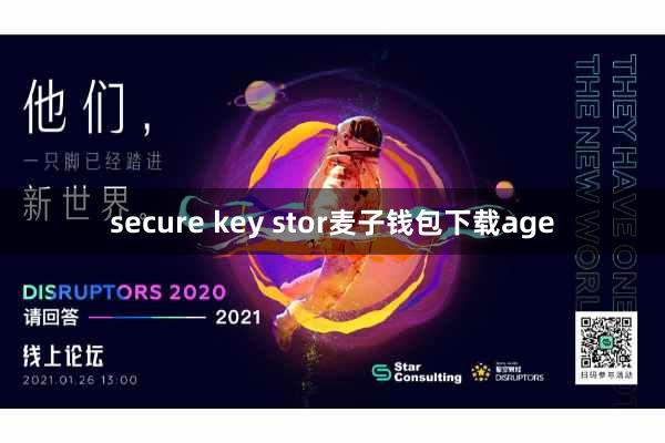secure key stor麦子钱包下载age