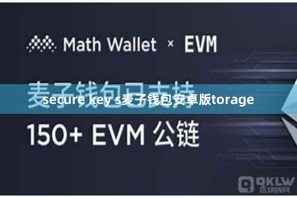 secure key s麦子钱包安卓版torage