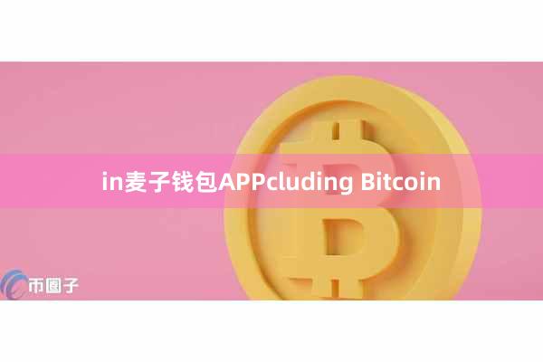 in麦子钱包APPcluding Bitcoin