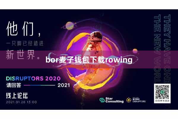 bor麦子钱包下载rowing