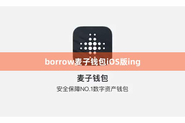 borrow麦子钱包iOS版ing
