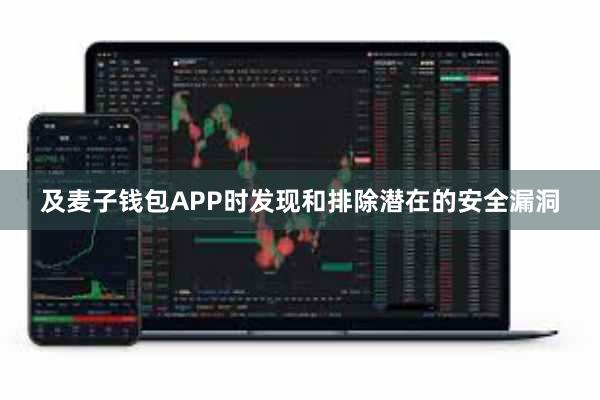 及麦子钱包APP时发现和排除潜在的安全漏洞