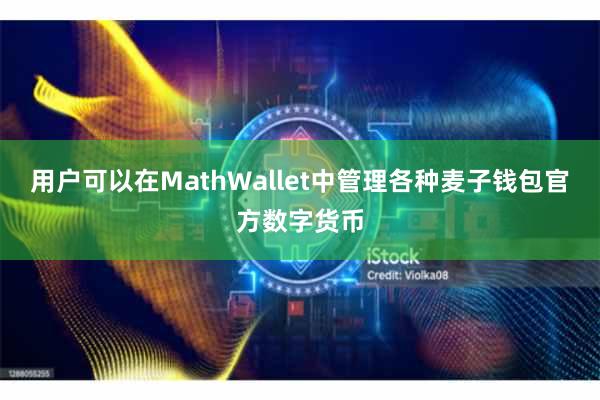 用户可以在MathWallet中管理各种麦子钱包官方数字货币