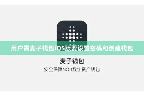 用户需麦子钱包iOS版要设置密码和创建钱包