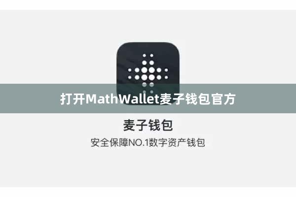 打开MathWallet麦子钱包官方