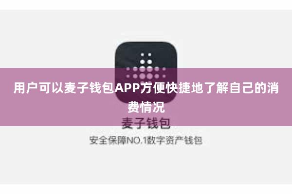用户可以麦子钱包APP方便快捷地了解自己的消费情况