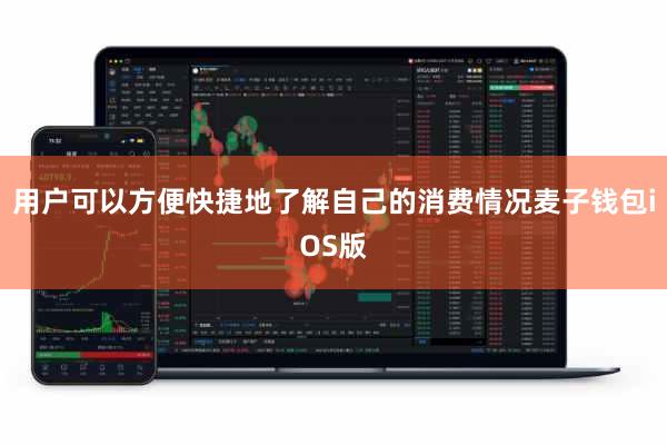 用户可以方便快捷地了解自己的消费情况麦子钱包iOS版