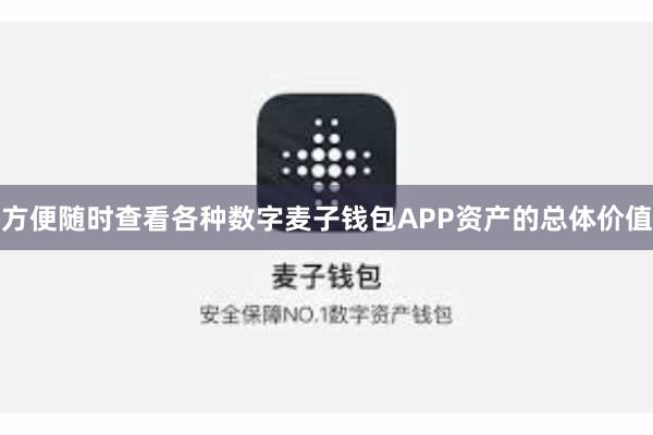 方便随时查看各种数字麦子钱包APP资产的总体价值