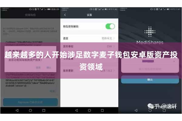 越来越多的人开始涉足数字麦子钱包安卓版资产投资领域