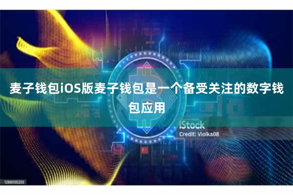 麦子钱包iOS版麦子钱包是一个备受关注的数字钱包应用