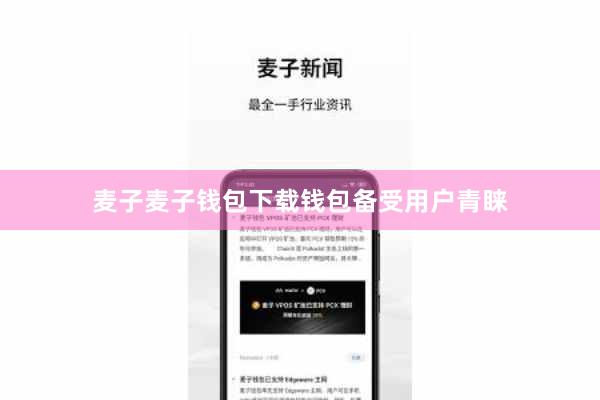 麦子麦子钱包下载钱包备受用户青睐