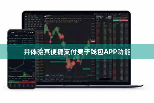 并体验其便捷支付麦子钱包APP功能