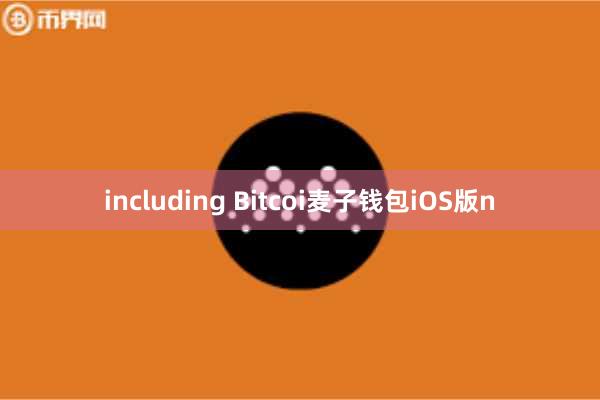 including Bitcoi麦子钱包iOS版n