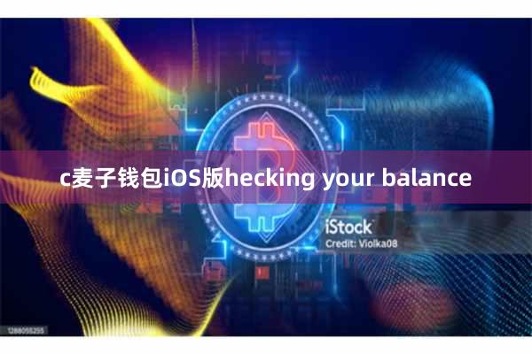 c麦子钱包iOS版hecking your balance