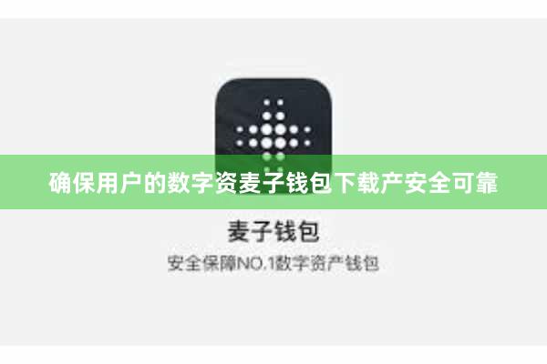 确保用户的数字资麦子钱包下载产安全可靠